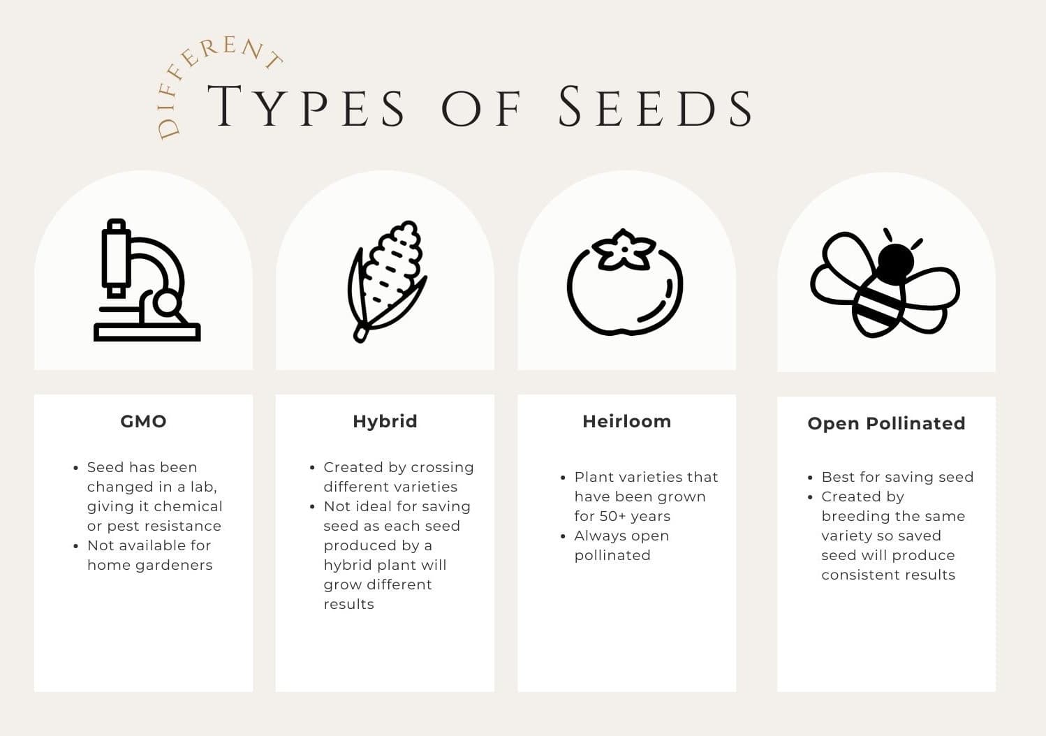 Seed Types.jpg