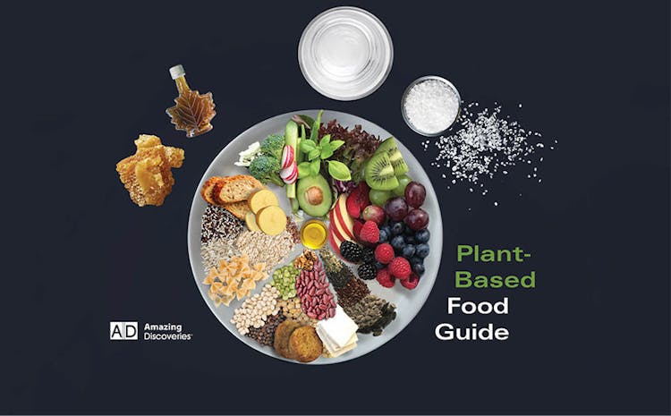 Plant Based Food Guide